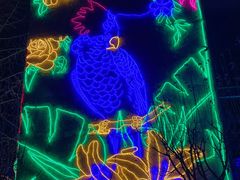 -南宫五洲植物乐园