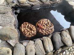 -宜春明月山维景国际温泉度假酒店