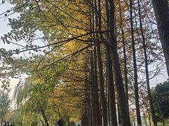 -杭州电子科技大学(下沙校区)