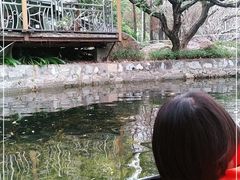 -晓港公园