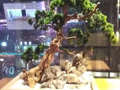 -享月汤皇·海鲜小火锅·聚会(曲江创意谷店)