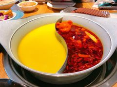 -青瓷火锅料理(西单大悦城店)