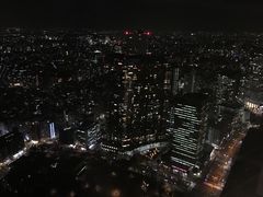 -东京都厅舍