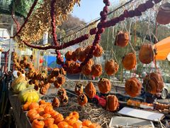 -南窖乡水峪村山情农家