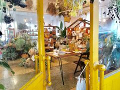 -知物癖(牛王庙店)