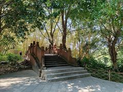 -水濂山森林公园