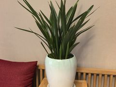 -聚福宝合苑食府(南头镇店)