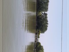 -同里国家湿地公园
