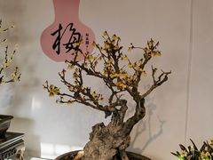 -颐和园