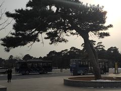 -清西陵