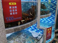 -松沪名灶·豆浆鱼头·新上海菜(飞航吾悦广场店)