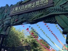 -上海大自然野生昆虫馆(东方明珠·爬宠昆虫探索中心)