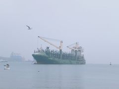 -海驴岛(荣成市)
