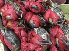 -莲花公园煎蟹(总店)