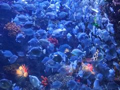 -海合安青岛极地海洋公园