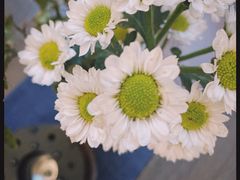 -扫雪煮茶(西村店)