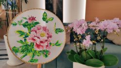 -雅曼妮spa美容养生