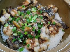 -红星光发煲仔饭(文海店)