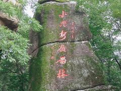 -汤旺河林海奇石景区