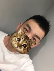 -大象造型