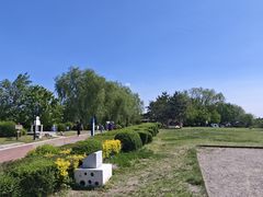 -莫子山公园