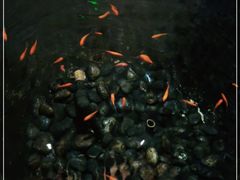 -小江南(万福园店)