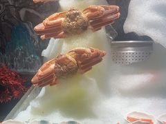 -雍容荟帝王蟹活龙虾展台自助(IFS黑金店)