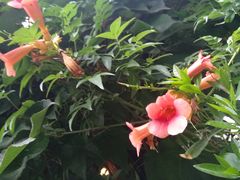 -斯多格书乡(北京大学畅春园店)