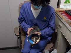 -半岛宠物医院24小时(科华中路店)