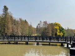 -海珠湖公园