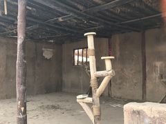 -敦煌古城