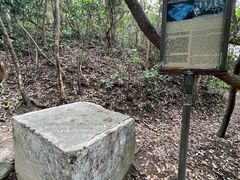 -狮子山郊野公园