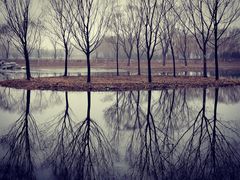 -大兴滨河森林公园