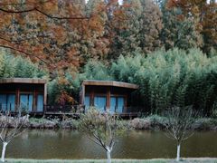 -黄海国家森林公园