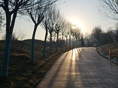 -青藏高原野生动物园