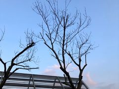 -悦哉·派对·草坪婚礼·围炉煮茶(三圣乡店)