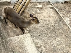 -昆明动物园