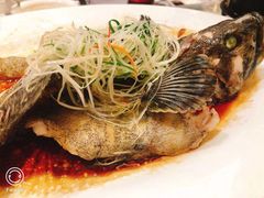 -紫阳海鲜楼·传承闽味(长乐路总店)