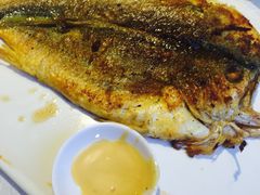 -赶海部落海鲜城(海阳路店)