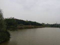 -白鹭湾湿地公园