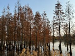 -白鹭湾湿地公园