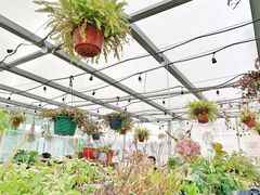 -小时光咖啡馆(北锣鼓巷店)