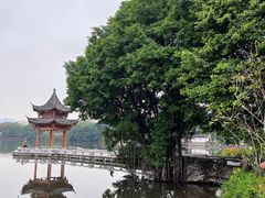-西湖公园(鼓楼区)