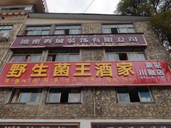 -波密野生菌王酒家