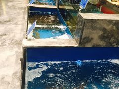 -钱塘宴(东站西子国际店)