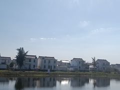-渌洋湖湿地公园