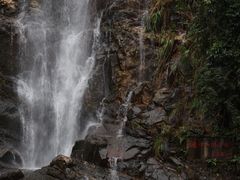 -鼎湖山风景区