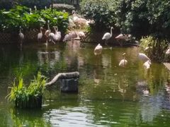 -九龙公园