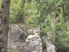 -四门塔风景区