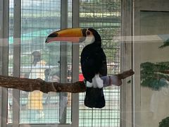 -西霞口神雕山野生动物世界